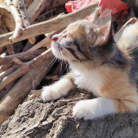 薄岁于2023-06-20 01:00发布的图片