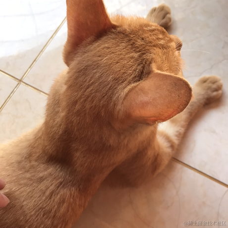 Li_Cat001于2021-09-25 08:40发布的图片