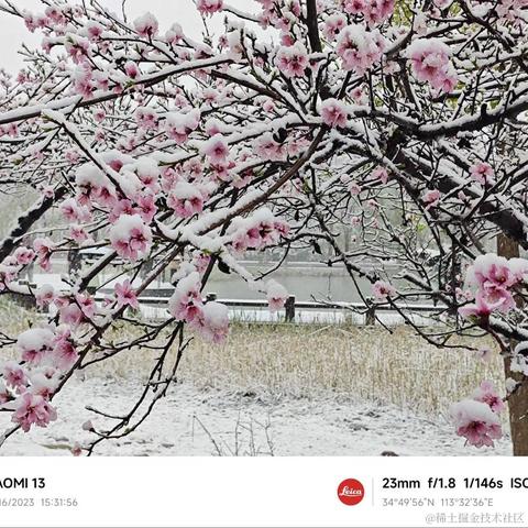 wumian233333于2023-03-28 11:07发布的图片