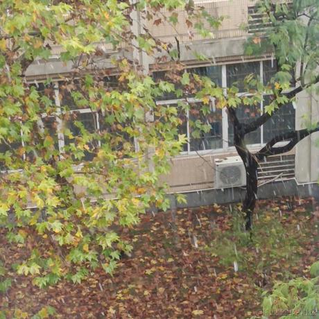 不吃青椒啊于2022-12-01 14:41发布的图片