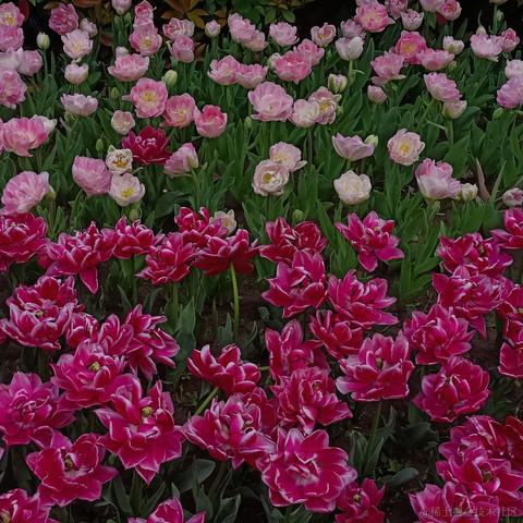 耶耶_于2023-04-06 17:26发布的图片