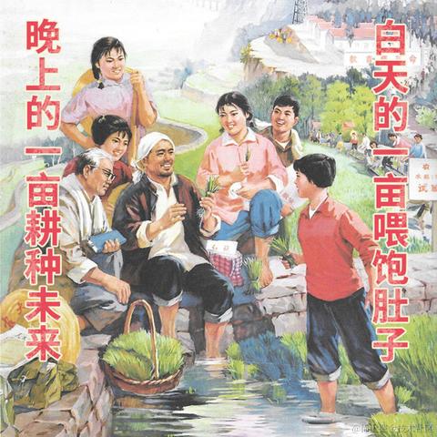 Rainbow于2020-11-20 15:19发布的图片