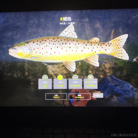 rain2333于2022-11-22 21:18发布的图片