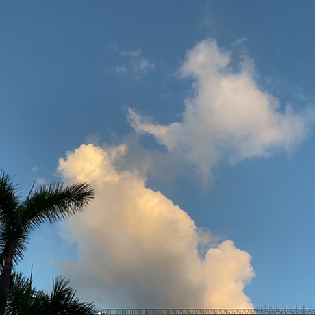 南城FE于2022-07-21 11:50发布的图片