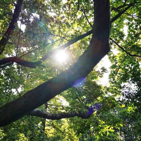 小白7码于2020-10-23 12:13发布的图片