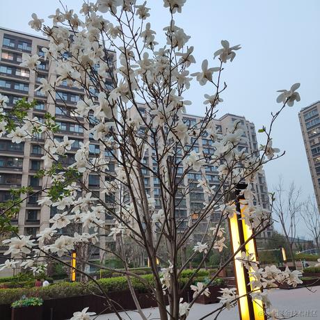 王中阳讲AI编程于2022-04-12 07:58发布的图片