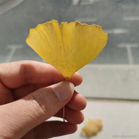 浮世尘华于2022-12-18 14:53发布的图片