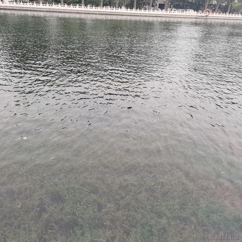 已注销于2022-11-04 21:57发布的图片