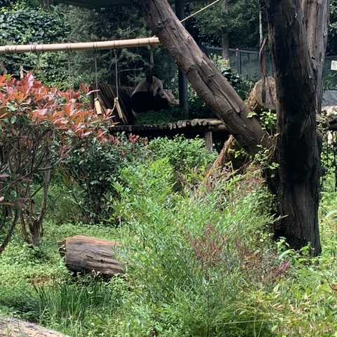 切图_仔于2022-10-05 21:46发布的图片