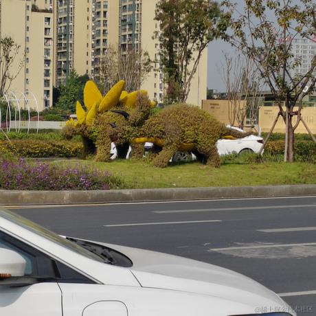 笨极星才不贝呢于2022-11-14 12:21发布的图片