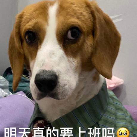 小喵拒绝加班于2024-04-12 11:30发布的图片