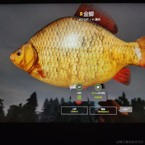 rain2333于2022-11-17 18:52发布的图片