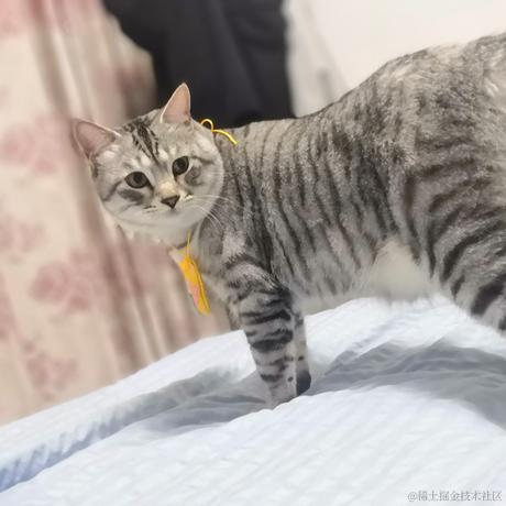 VV酱于2022-06-06 18:15发布的图片