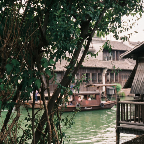 紫菜捏于2022-11-16 09:52发布的图片