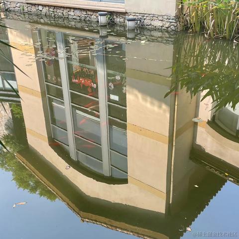 花折亦无情于2022-11-21 15:28发布的图片