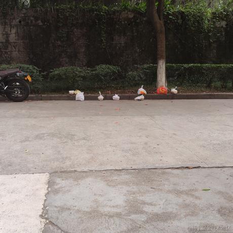 不飞则已一飞于2023-04-08 18:15发布的图片