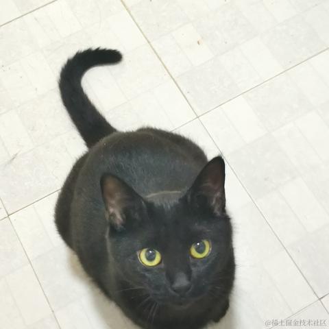 忆夕晖于2021-12-31 16:38发布的图片