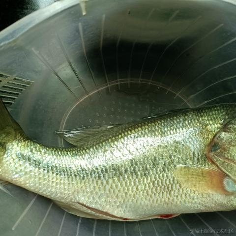 一条会coding的Shark于2023-01-16 17:06发布的图片