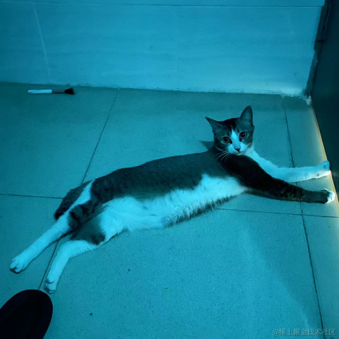 从热河到定西于2023-05-08 10:40发布的图片