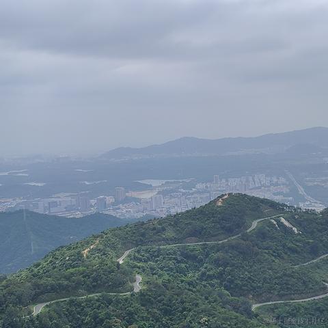 小绵羊呀于2023-05-04 08:58发布的图片
