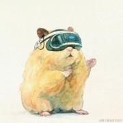 北极星1995的个人资料头像