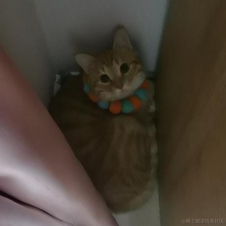 下凡冲浪辛苦了于2022-11-17 20:47发布的图片