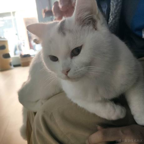 贝拉老公月光加冕于2022-11-15 22:29发布的图片