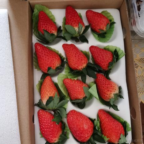 漆漆_于2022-12-14 20:17发布的图片