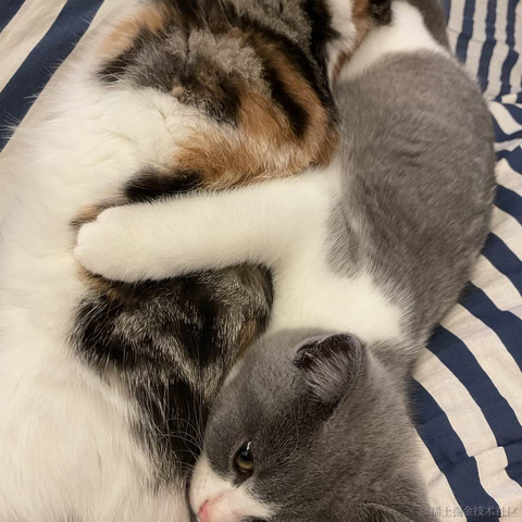 豆饼于2021-09-28 09:25发布的图片