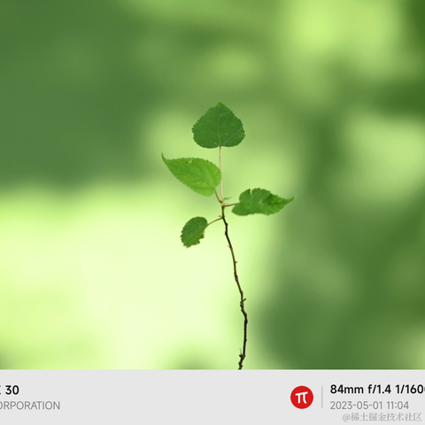 半夏1024于2023-05-09 09:39发布的图片