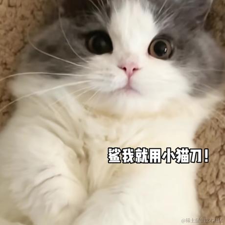 onetwo于2022-11-23 13:48发布的图片