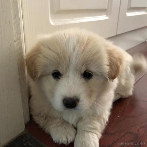 moonWind于2022-11-16 08:38发布的图片