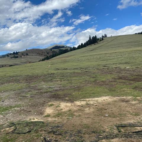 Joins于2023-06-09 08:39发布的图片