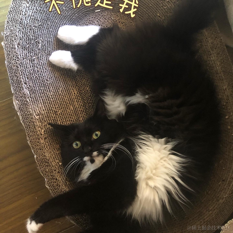 AilsaGao于2022-11-17 08:42发布的图片