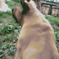 开水_泡饭于2023-01-12 16:49发布的图片