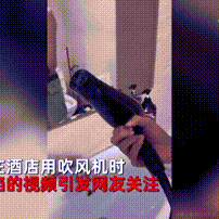 jayjay于2023-05-06 13:15发布的图片