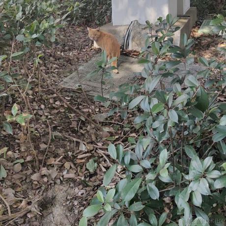 此帐号已注销于2021-01-15 22:00发布的图片