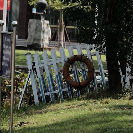 野生雨于2022-11-20 10:04发布的图片