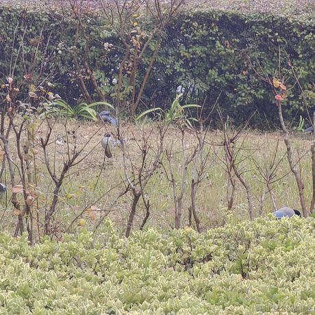 xy439于2022-11-27 23:33发布的图片