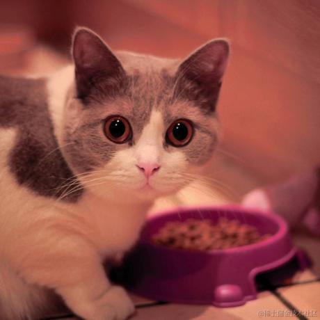 每日技术于2021-08-21 16:21发布的图片