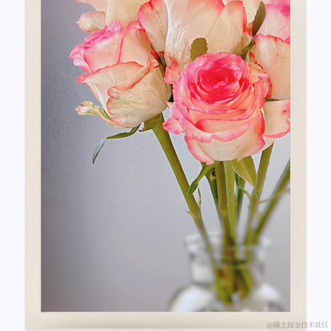 红毛丹于2022-04-29 21:15发布的图片