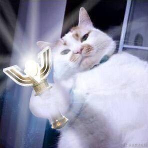 爱来自枝江于2022-11-20 17:54发布的图片