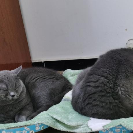 用户2365517671447于2022-11-15 21:45发布的图片