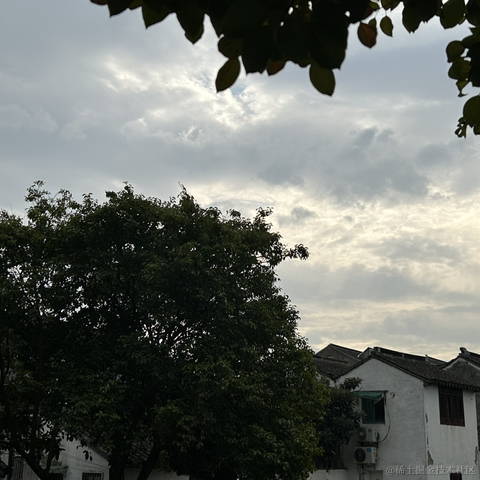 colincclala于2023-03-13 18:18发布的图片