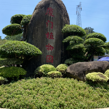 NicesLife于2022-07-24 00:10发布的图片