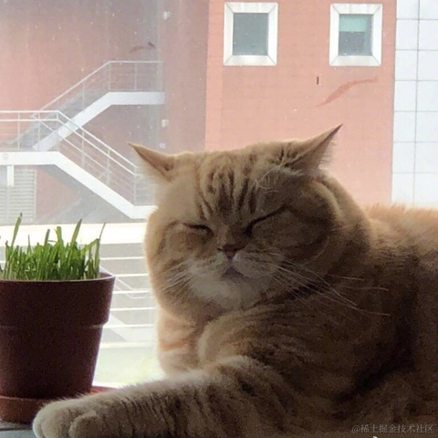 没有昵称gg于2021-04-30 10:56发布的图片