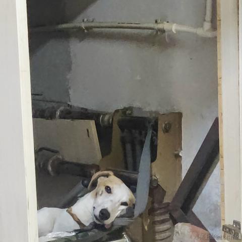 用户7210340961494于2023-01-27 23:21发布的图片