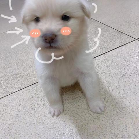 泡面泡牛奶于2022-01-26 09:58发布的图片
