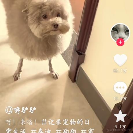夏夜雨微凉于2023-05-29 22:21发布的图片