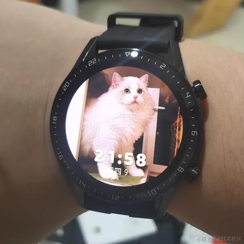 酱油味的可乐于2021-10-21 18:08发布的图片